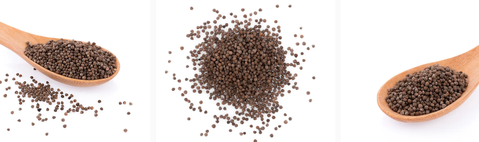 Grape Seed Extract Bulk.png